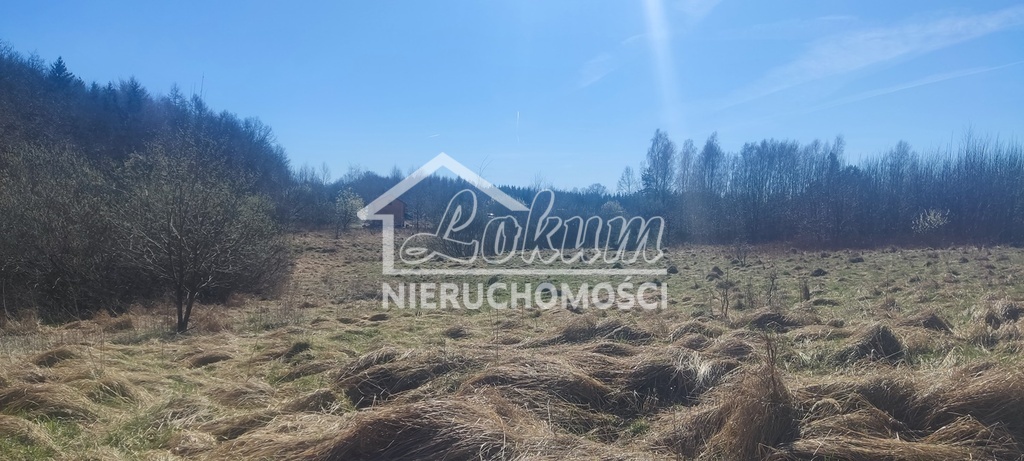 Działka rekreacyjna 1870&nbsp;m², Linówko - zdjęcie 11