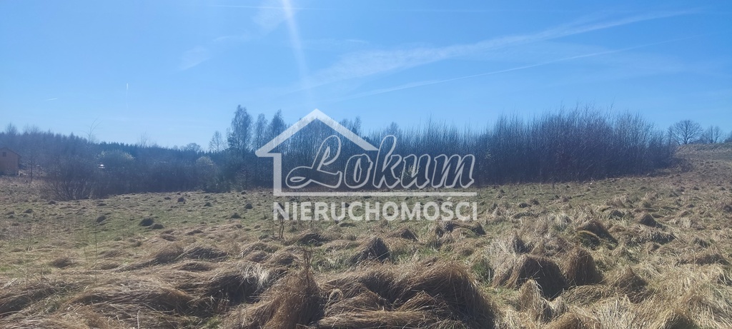 Działka rekreacyjna 1870&nbsp;m², Linówko - zdjęcie 12