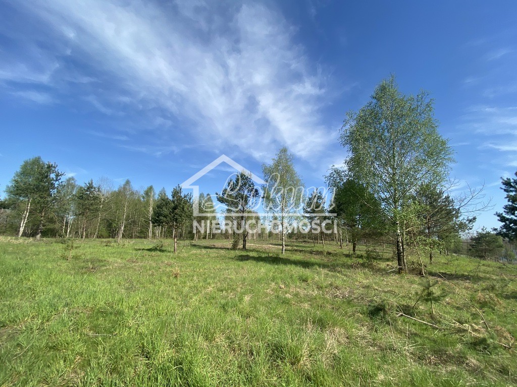 Działka budowlana 698&nbsp;m², Lubieszewo - zdjęcie 6