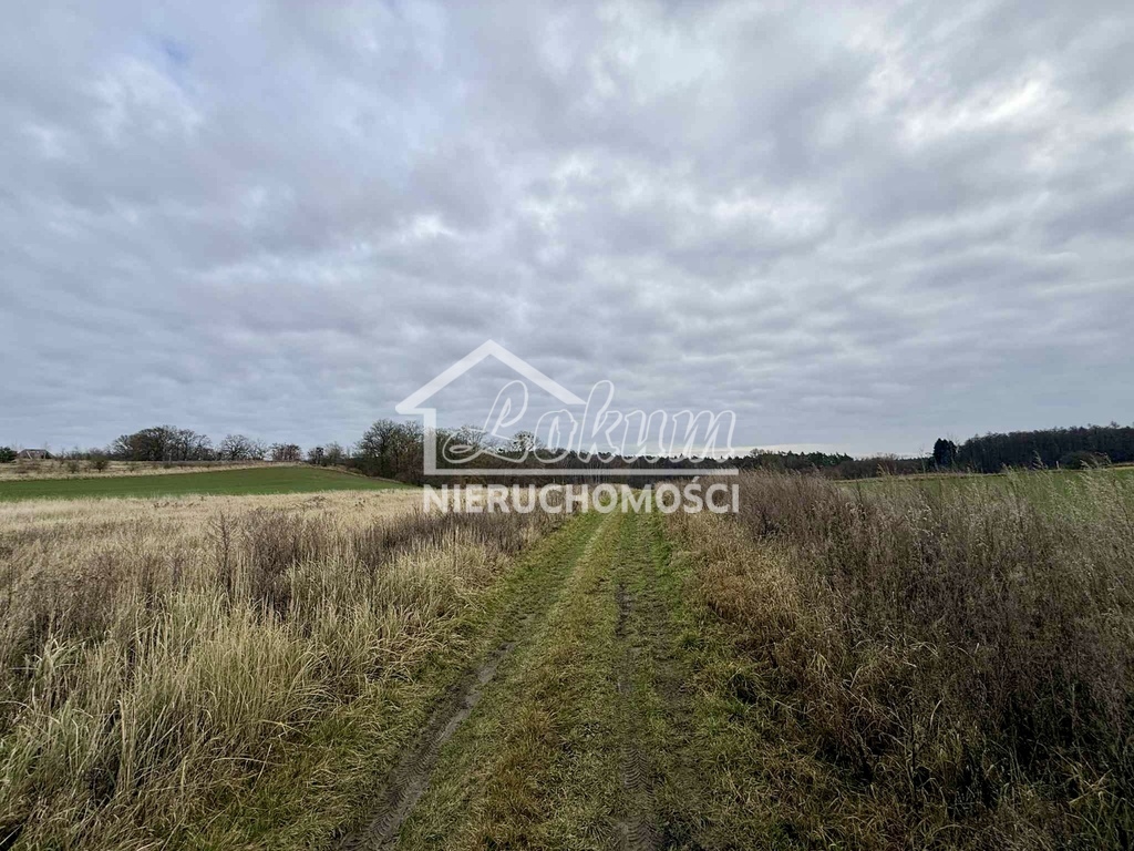 Działka rolna 3006&nbsp;m², Kamieniec - zdjęcie 3