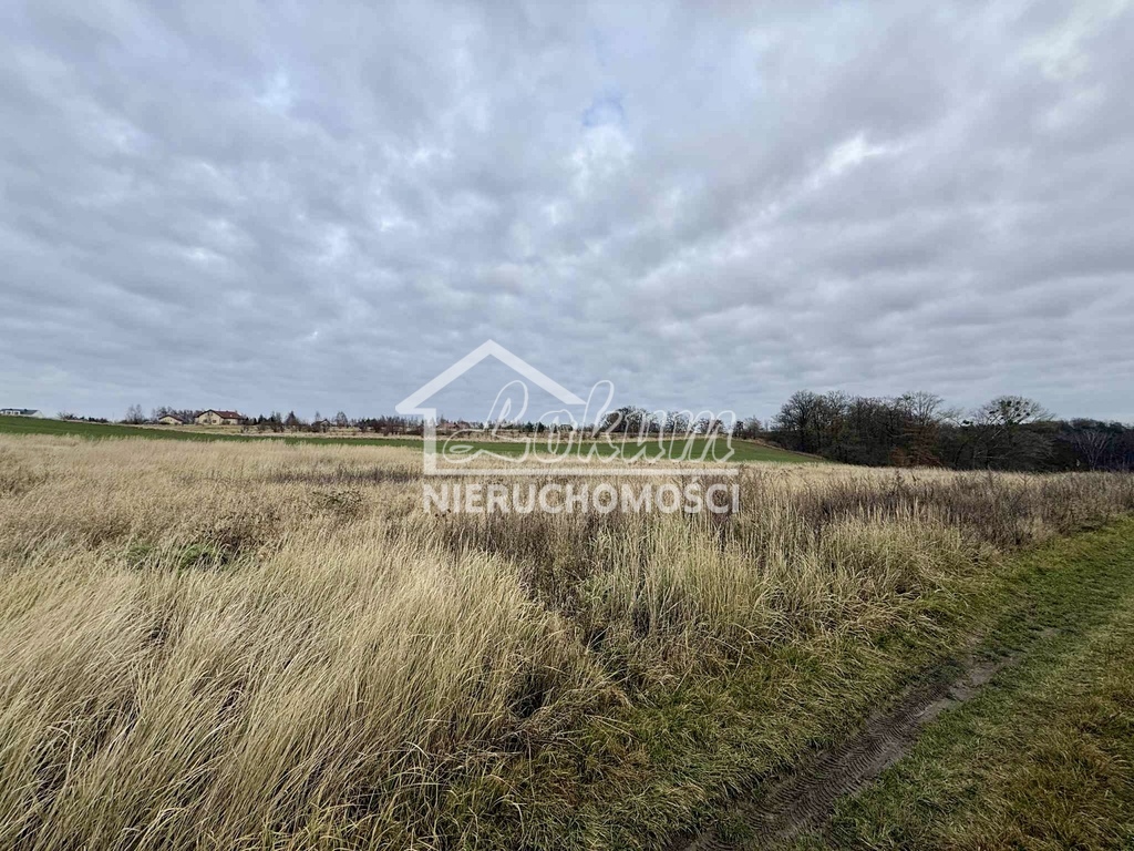 Działka rolna 3006&nbsp;m², Kamieniec - zdjęcie 4