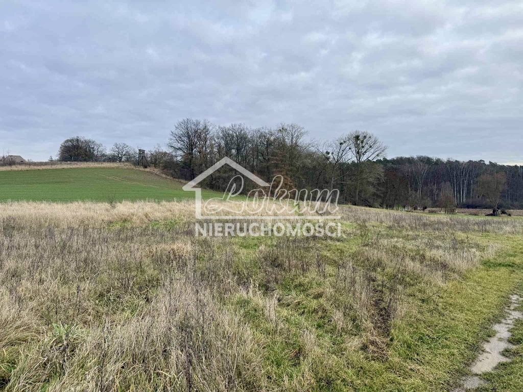 Działka rolna 3006&nbsp;m², Kamieniec - zdjęcie 2