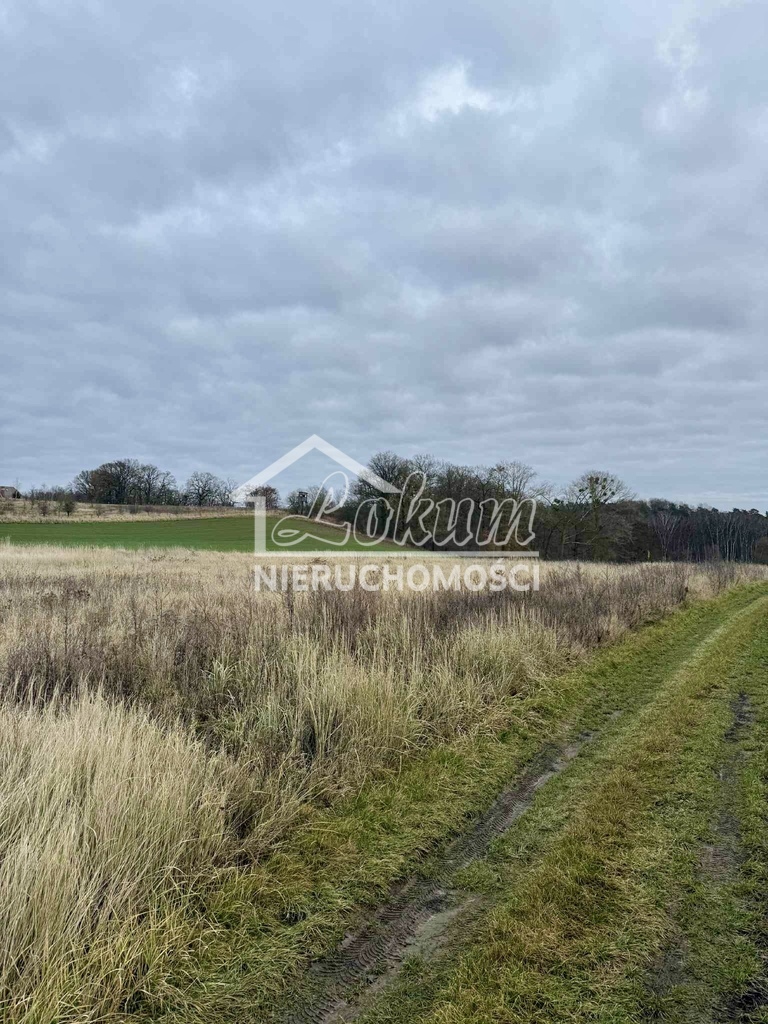 Działka rolna 3006&nbsp;m², Kamieniec - zdjęcie 1