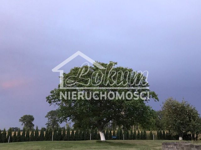 Dom 320&nbsp;m², Kodrąb - zdjęcie 13