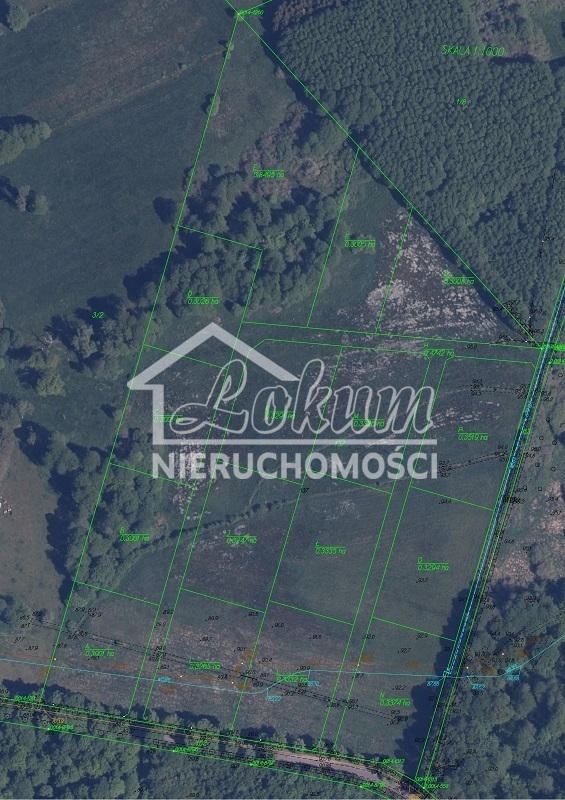 Działka rolna 3374&nbsp;m², Lubogoszcz - zdjęcie 1