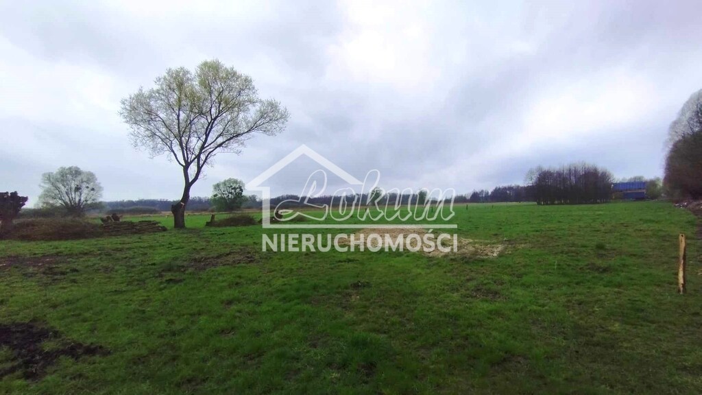 Działka budowlana 1951&nbsp;m², Dobropole Gryfińskie - zdjęcie 2