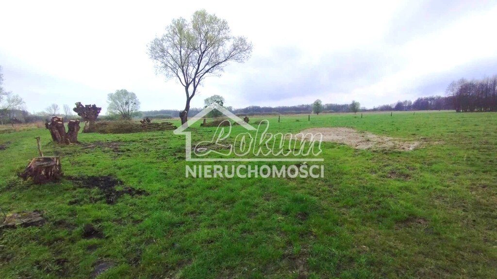 Działka budowlana 1951&nbsp;m², Dobropole Gryfińskie - zdjęcie 1