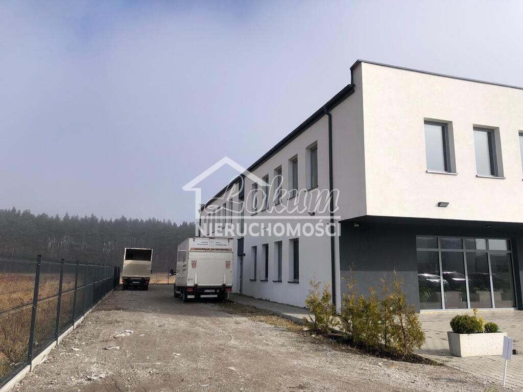 Lokal biurowy do wynajęcia, 429 m², Szczecin - zdjęcie 3