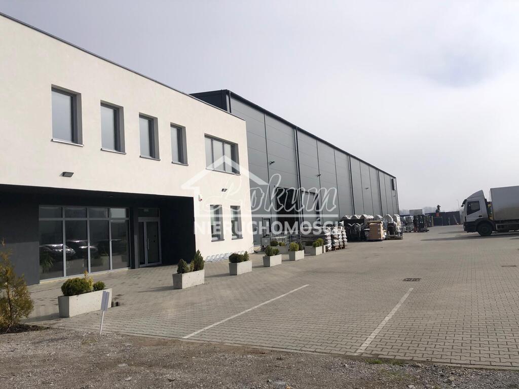 Lokal biurowy do wynajęcia, 429 m², Szczecin - zdjęcie 1