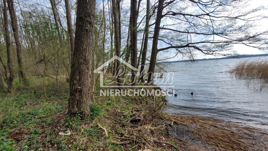 Działka budowlana 2800&nbsp;m², Żelewo - zdjęcie 7