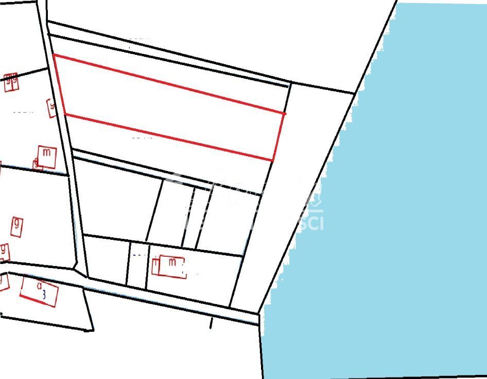 Działka budowlana 2800&nbsp;m², Żelewo - zdjęcie 8