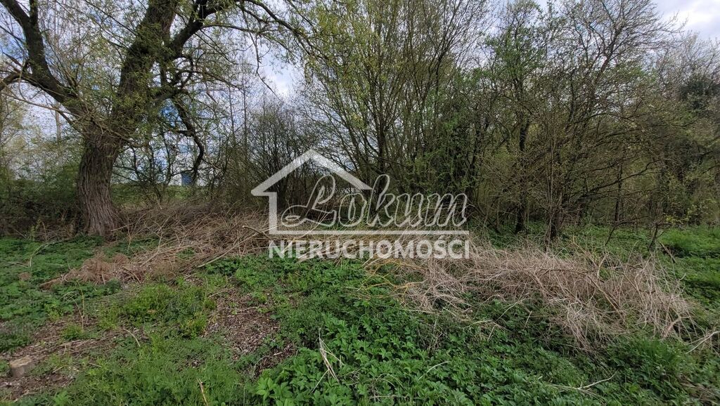 Działka budowlana 2800&nbsp;m², Żelewo - zdjęcie 6