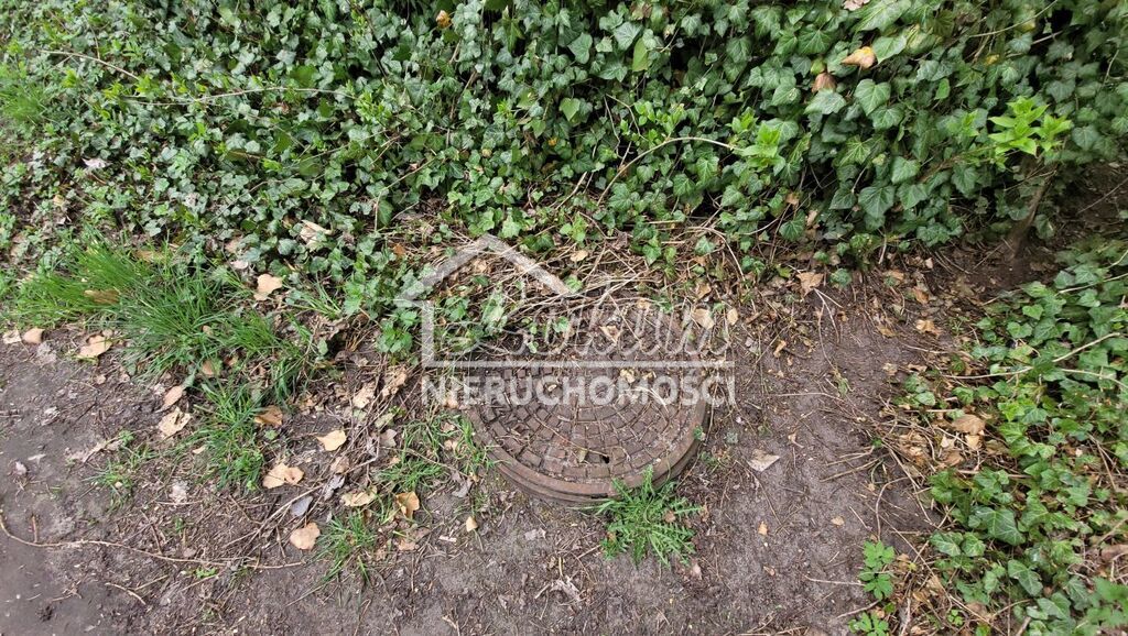 Działka budowlana 2800&nbsp;m², Żelewo - zdjęcie 4