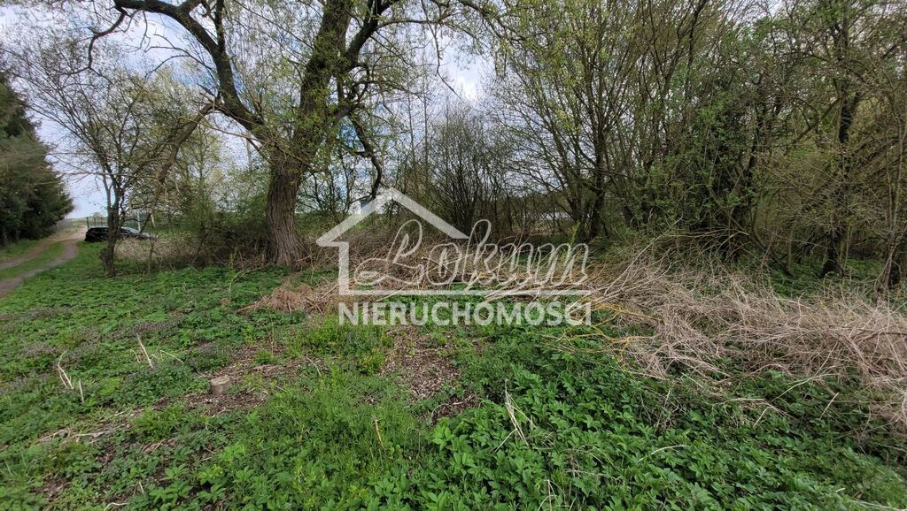 Działka budowlana 2800&nbsp;m², Żelewo - zdjęcie 5