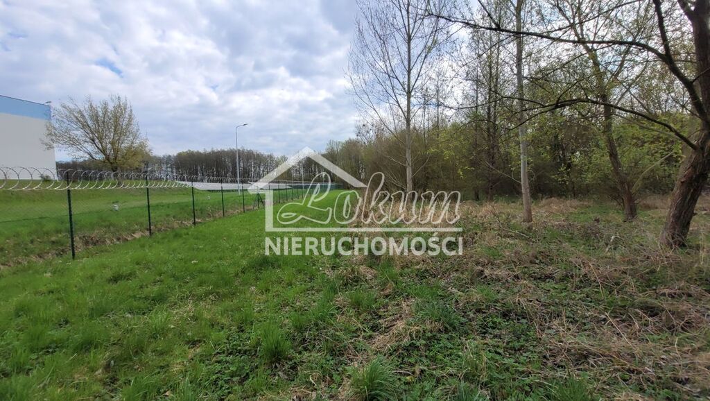 Działka budowlana 2800&nbsp;m², Żelewo - zdjęcie 3