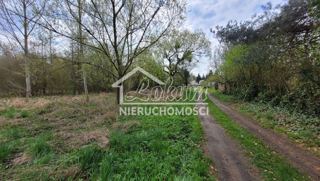 Działka budowlana 2800&nbsp;m², Żelewo - zdjęcie 2