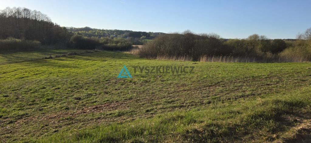 Działka z linią brzegową Ostrzyce - zdjęcie 13