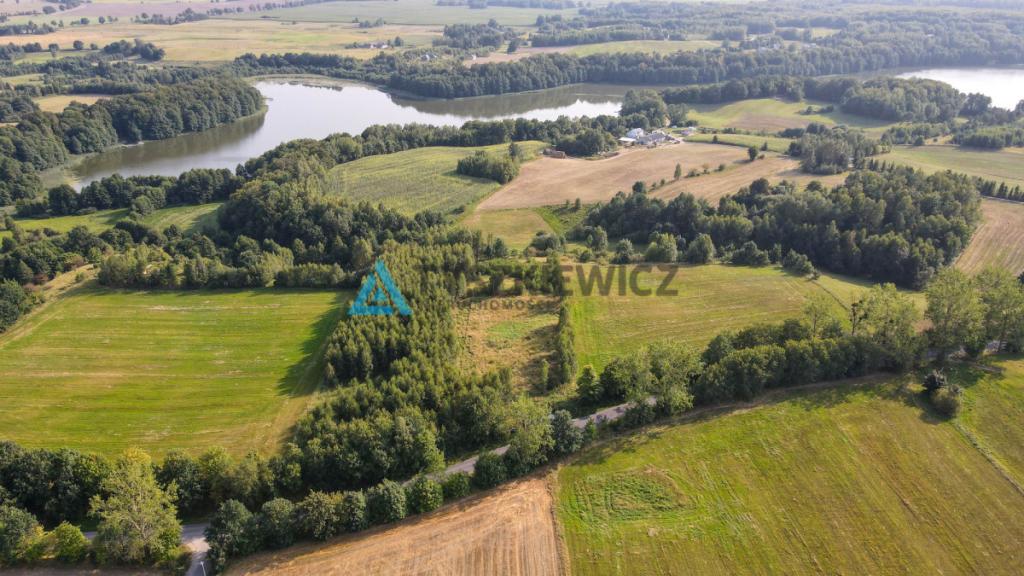 Działka w okolicy Jeziora Liniewskiego - zdjęcie 10