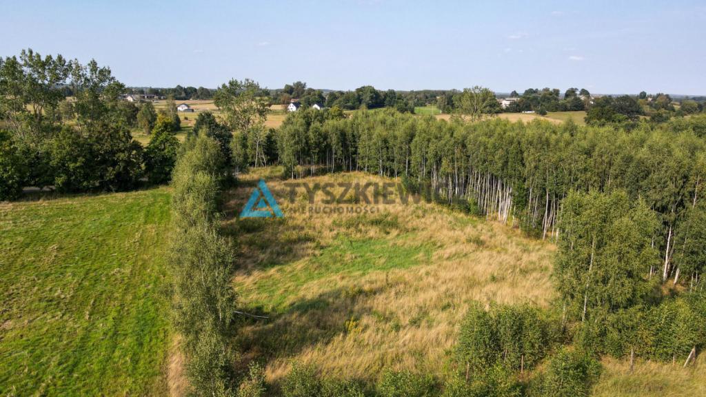 Działka w okolicy Jeziora Liniewskiego - zdjęcie 16