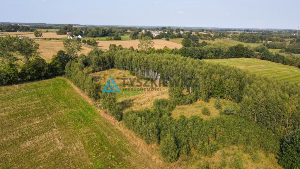 Działka w okolicy Jeziora Liniewskiego - zdjęcie 15