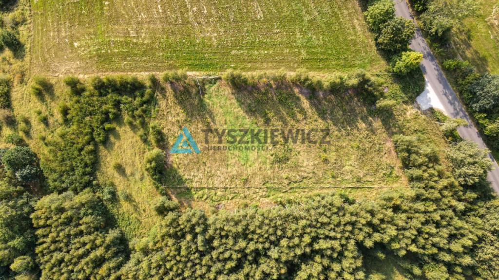 Działka w okolicy Jeziora Liniewskiego - zdjęcie 8
