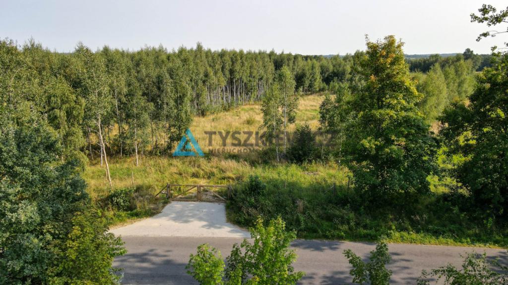 Działka w okolicy Jeziora Liniewskiego - zdjęcie 13