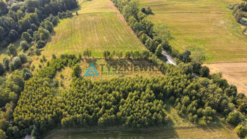 Działka w okolicy Jeziora Liniewskiego - zdjęcie 7