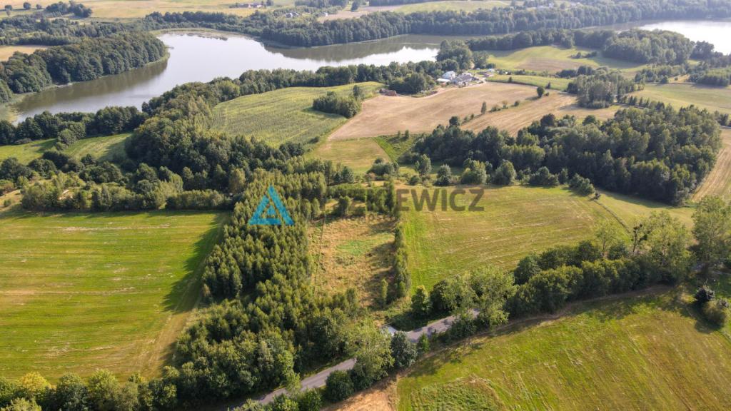 Działka w okolicy Jeziora Liniewskiego - zdjęcie 9