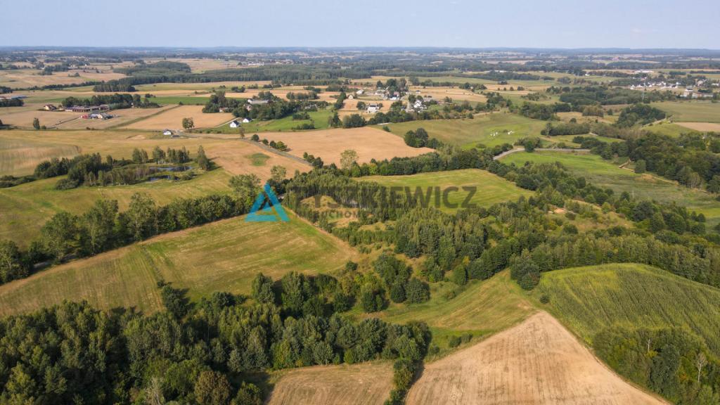 Działka w okolicy Jeziora Liniewskiego - zdjęcie 4