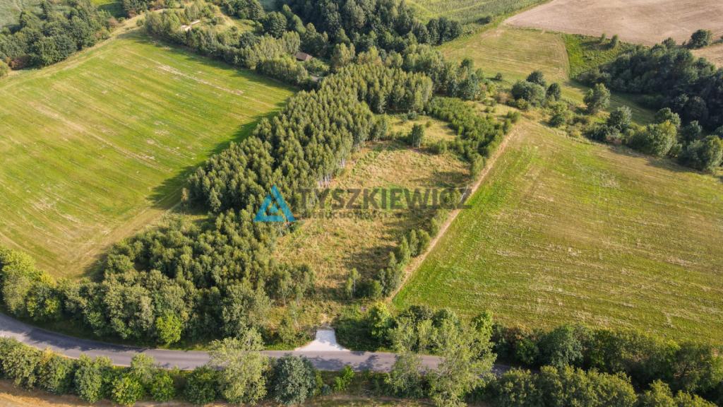 Działka w okolicy Jeziora Liniewskiego - zdjęcie 19
