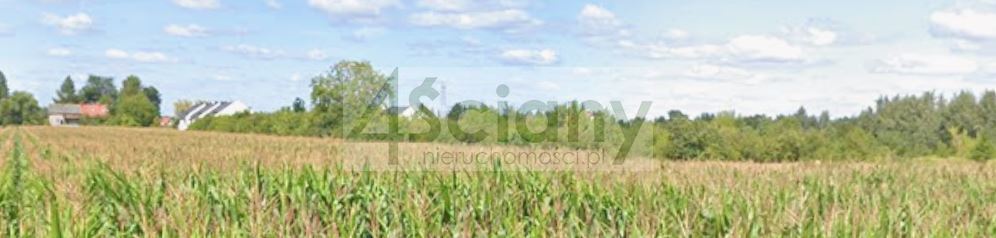 Działka budowlana 745 m², Bieniewice - zdjęcie 2