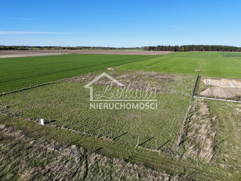 Działka rolna 1000&nbsp;m², Strachocin - zdjęcie 5