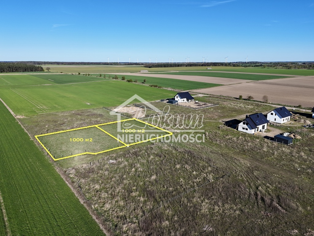 Działka rolna 1000&nbsp;m², Strachocin - zdjęcie 1