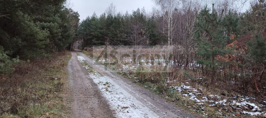 Działka budowlana 3600 m², Nowy Prażmów - zdjęcie 3
