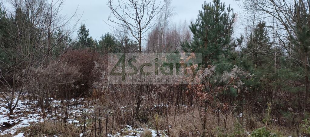 Działka budowlana 3600 m², Nowy Prażmów - zdjęcie 2
