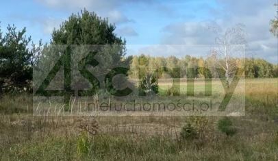 Działka rolna 3350&nbsp;m², Stary Łajszczew - zdjęcie 2