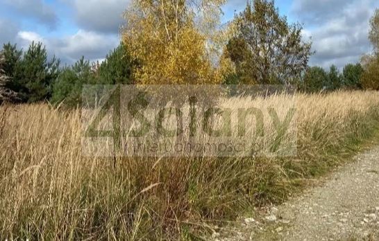 Działka rolna 3350&nbsp;m², Stary Łajszczew - zdjęcie 3