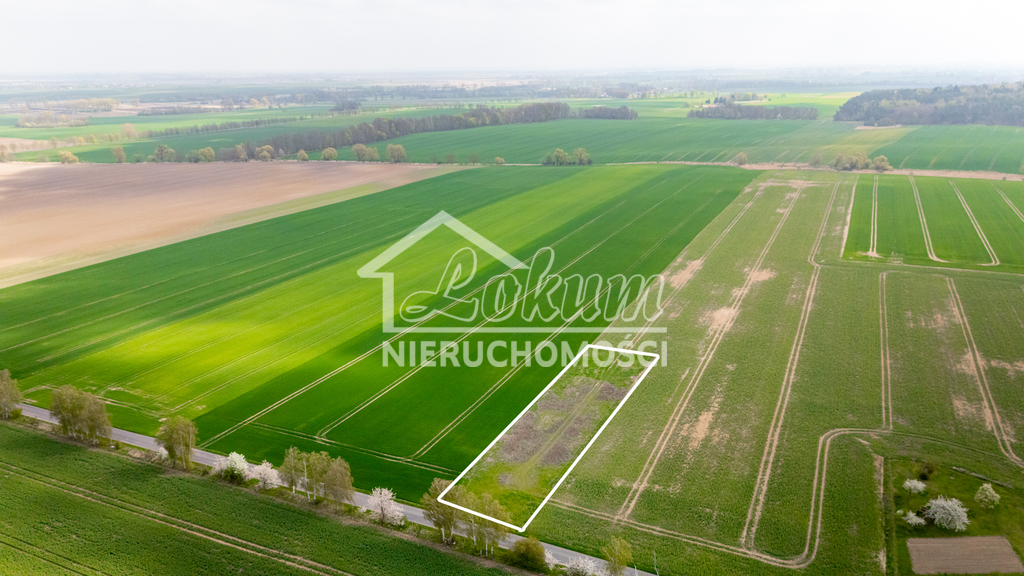 Działka rolna 2997 m², Pyrzyce - zdjęcie 4