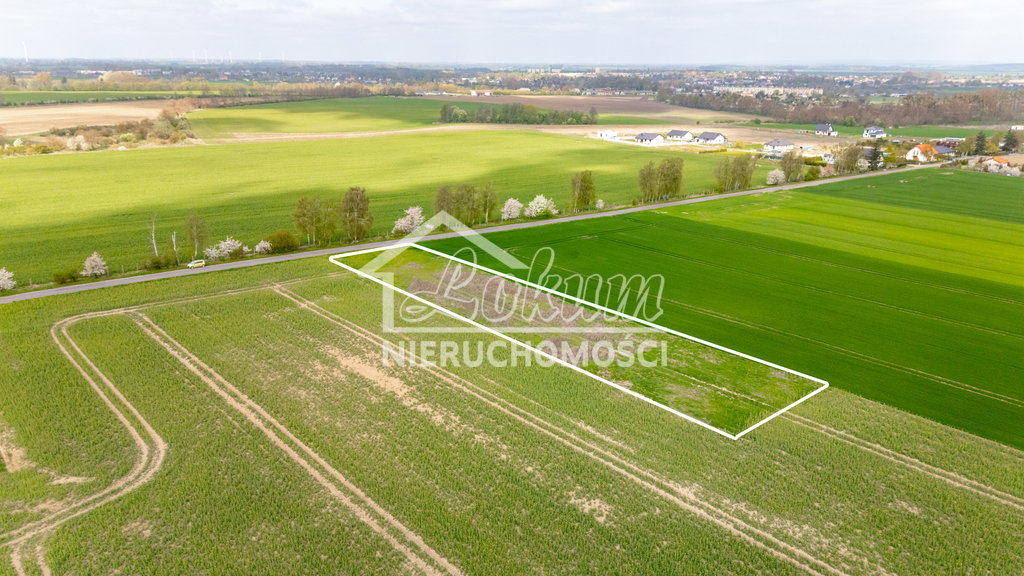 Działka rolna 2997&nbsp;m², Pyrzyce - zdjęcie 2