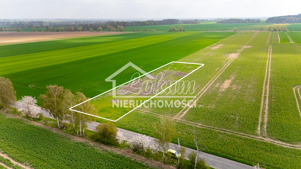 Działka rolna 2997 m², Pyrzyce - zdjęcie 1