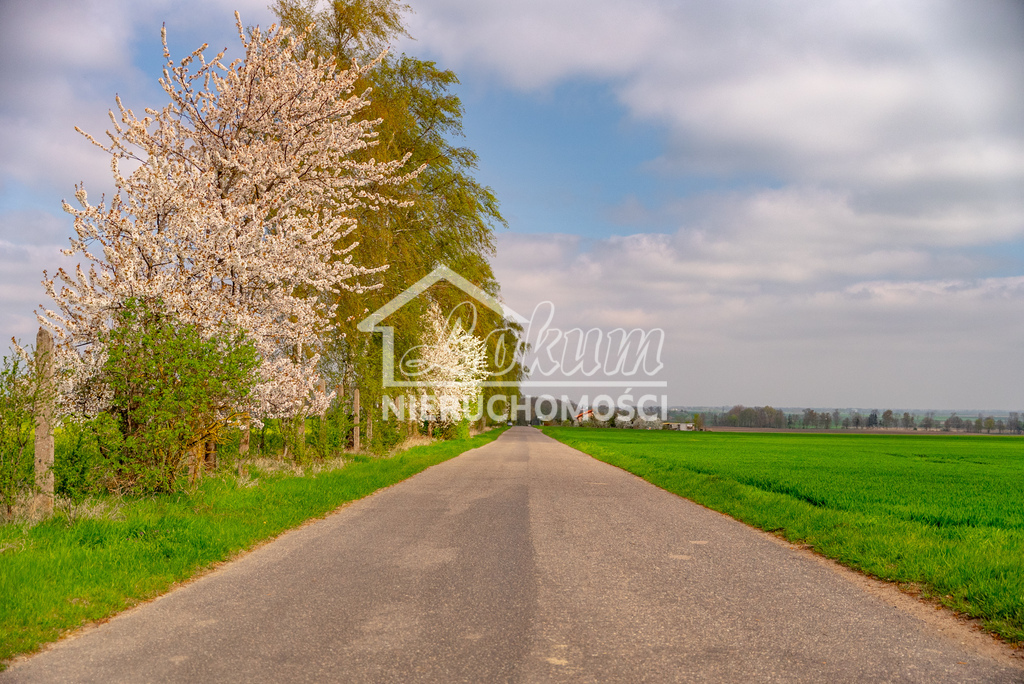 Działka rolna 2997 m², Pyrzyce - zdjęcie 9