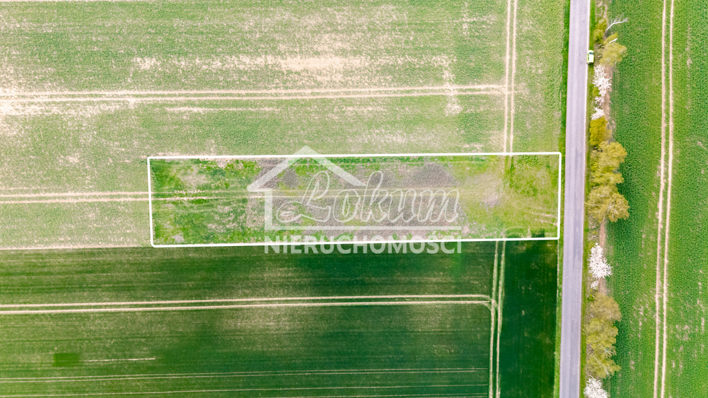 Działka rolna 2997&nbsp;m², Pyrzyce - zdjęcie 3