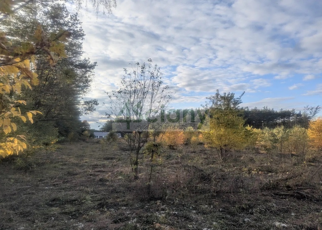 Działka budowlana 2506&nbsp;m², Żółwin - zdjęcie 3