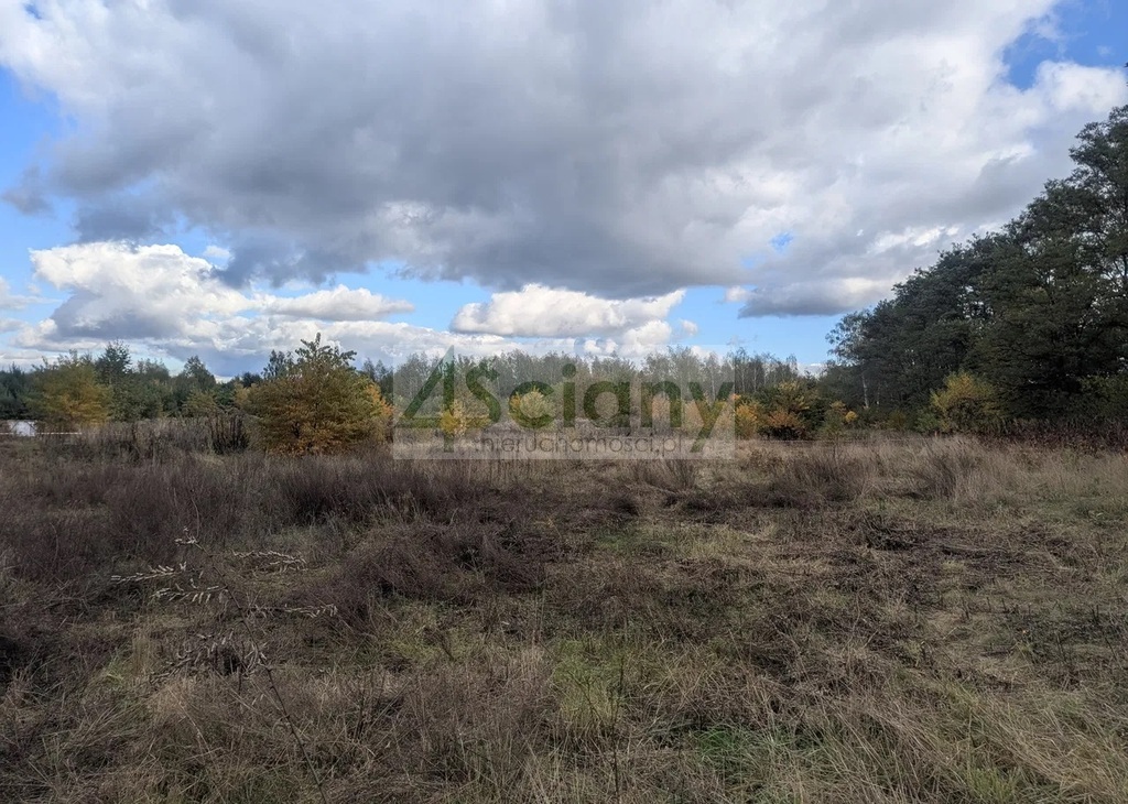 Działka budowlana 2506&nbsp;m², Żółwin - zdjęcie 2