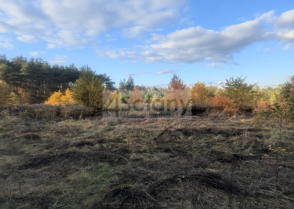 Działka budowlana 2506&nbsp;m², Żółwin - zdjęcie 5