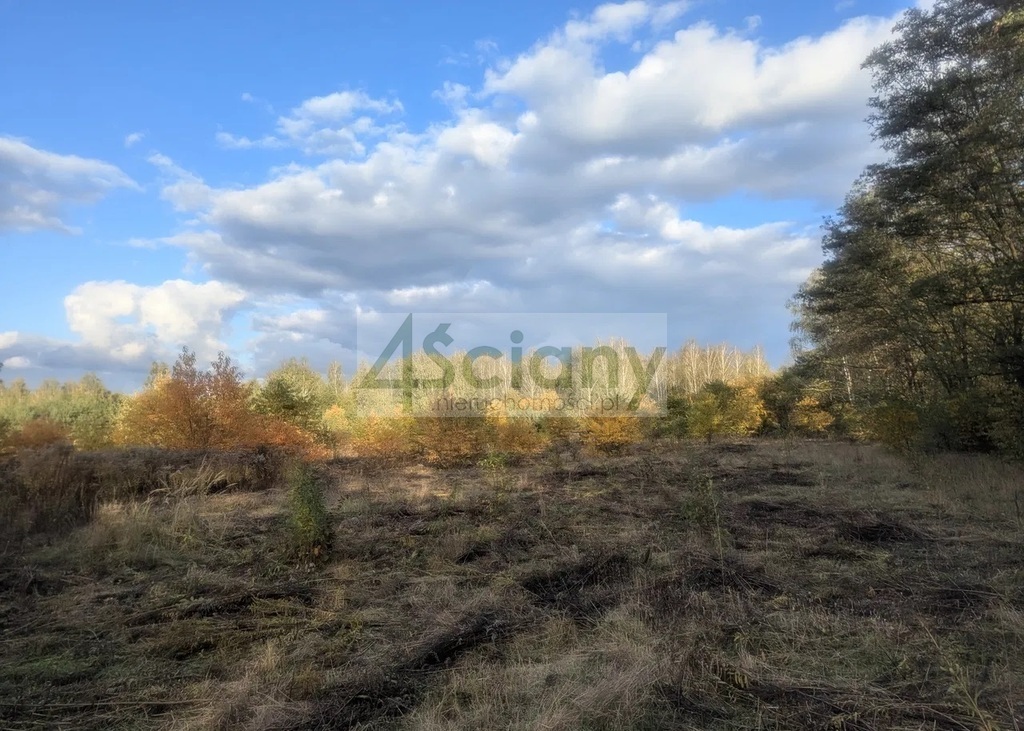 Działka budowlana 2834&nbsp;m², Żółwin - zdjęcie 1