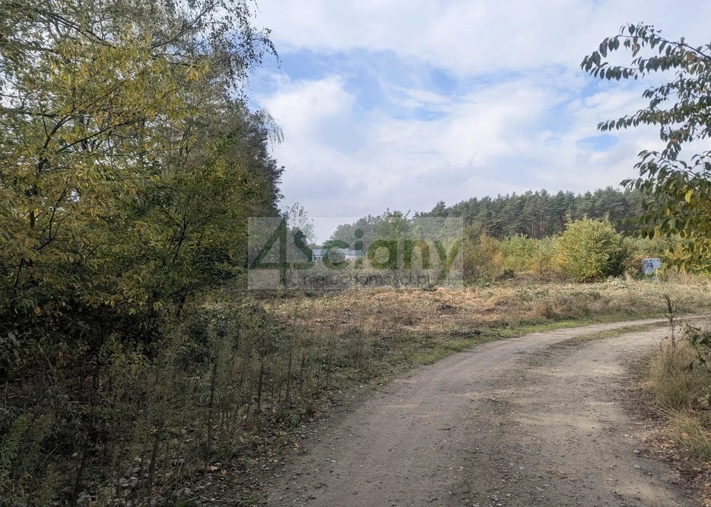 Działka budowlana 2834&nbsp;m², Żółwin - zdjęcie 6