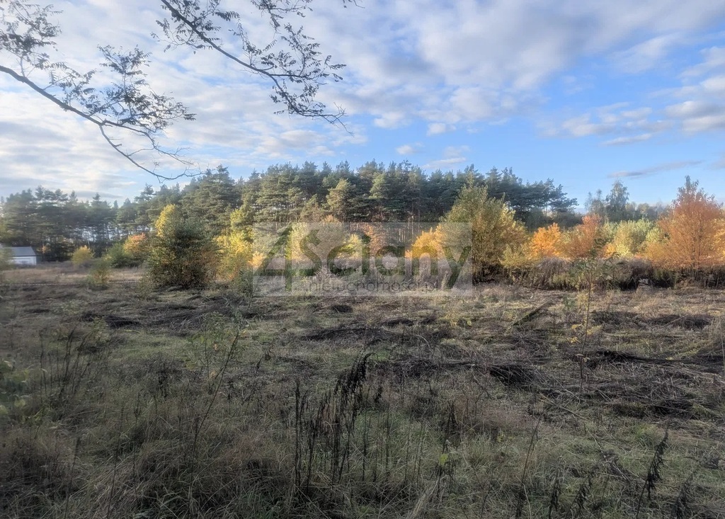 Działka budowlana 2834&nbsp;m², Żółwin - zdjęcie 4