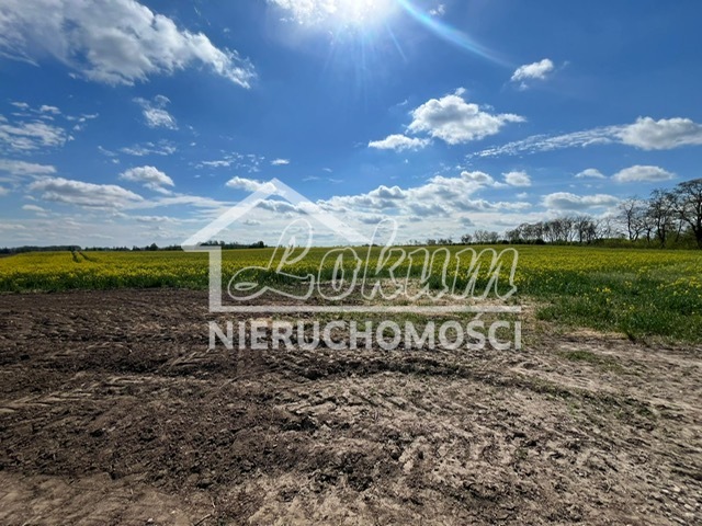 Działka budowlana 1000&nbsp;m², Pyrzyce - zdjęcie 1