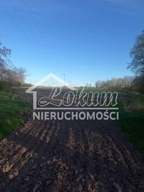 Działka budowlana 1000&nbsp;m², Pyrzyce - zdjęcie 1